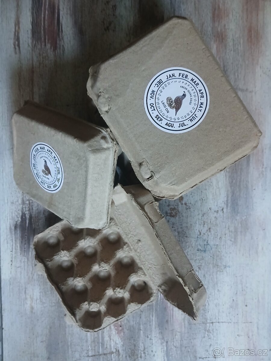 Krabičky na křepelčí vejce - 4