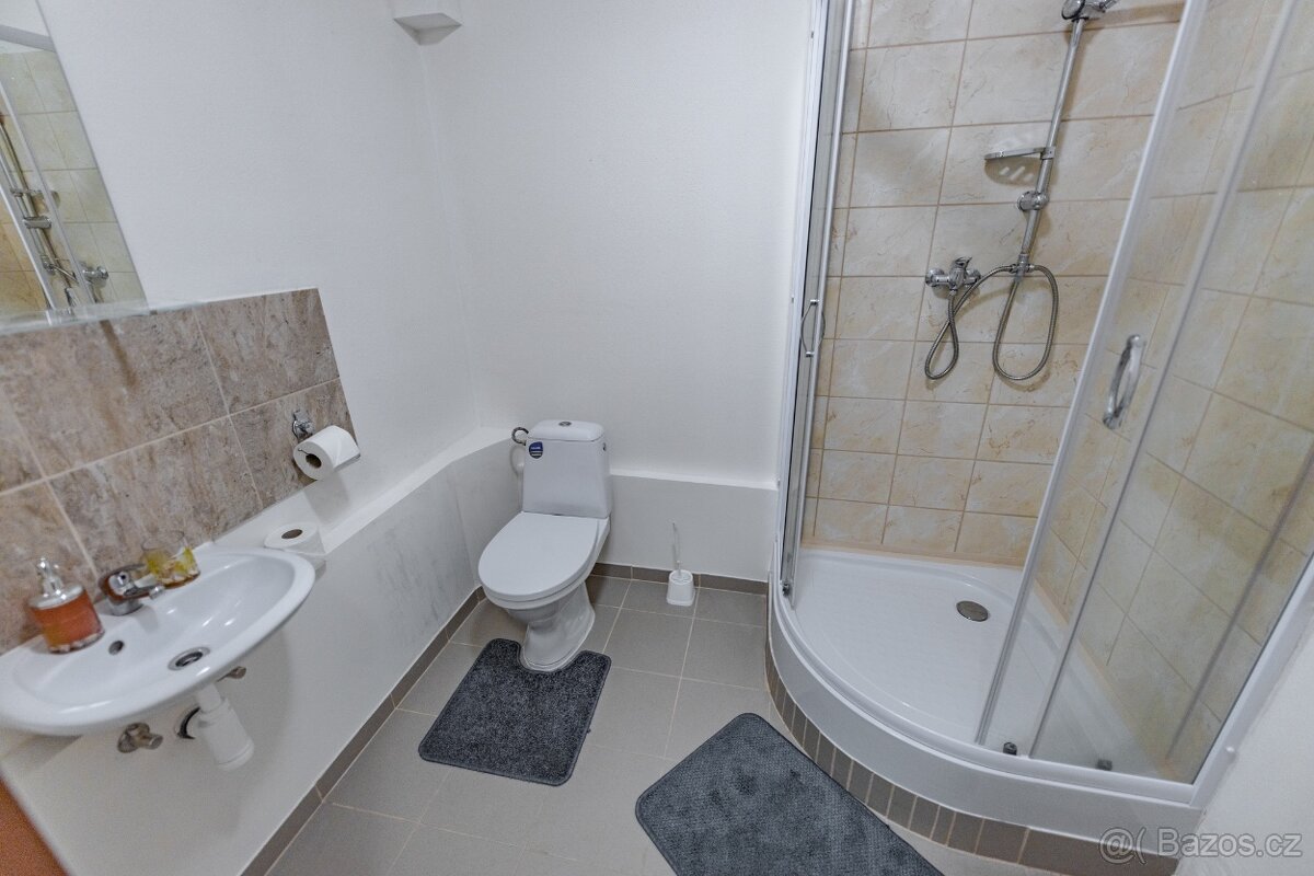 Zařízená garsonka s balkonem - 4