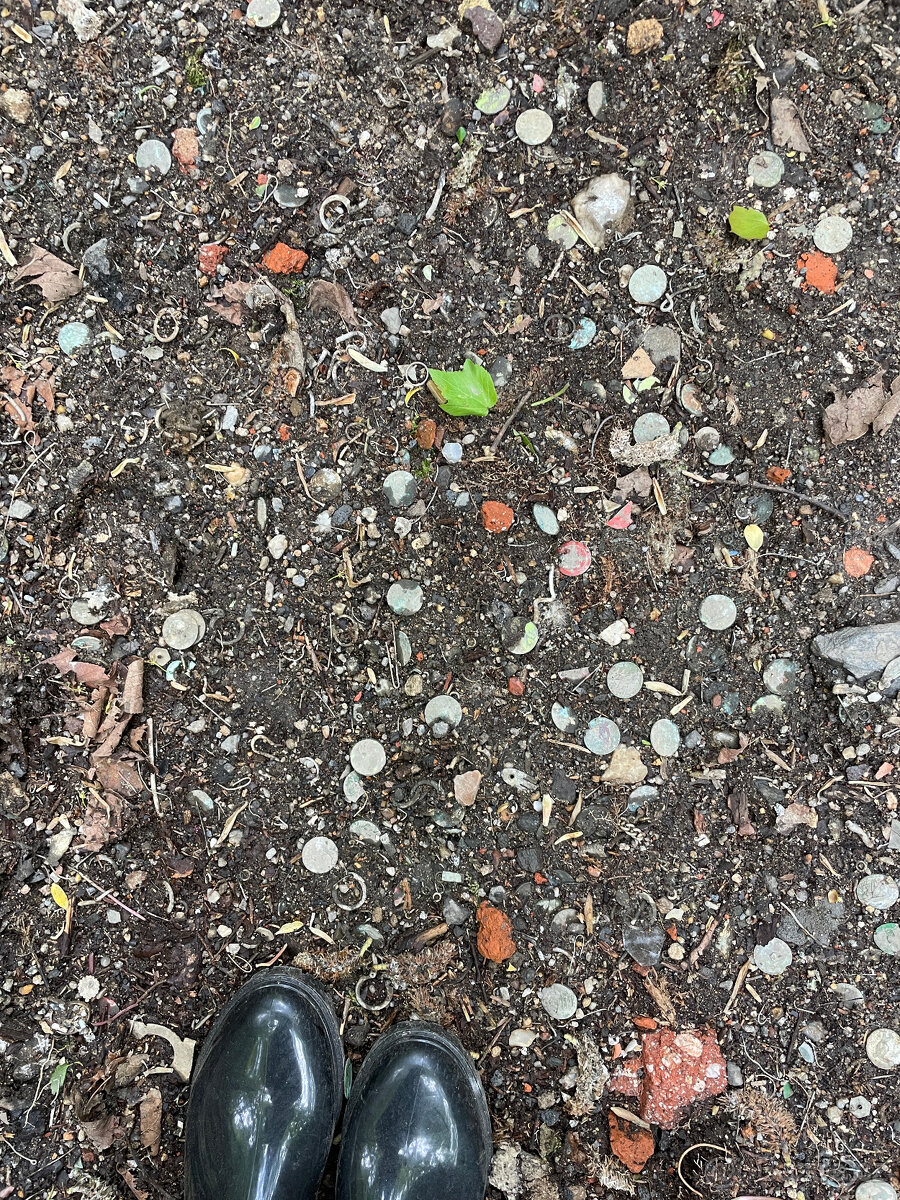 Mozaika - mince Diskobolos - 4