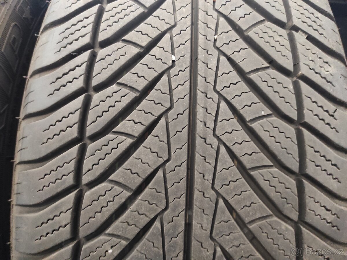 Zimní pneumatiky Goodyear 255/50R19 - 4