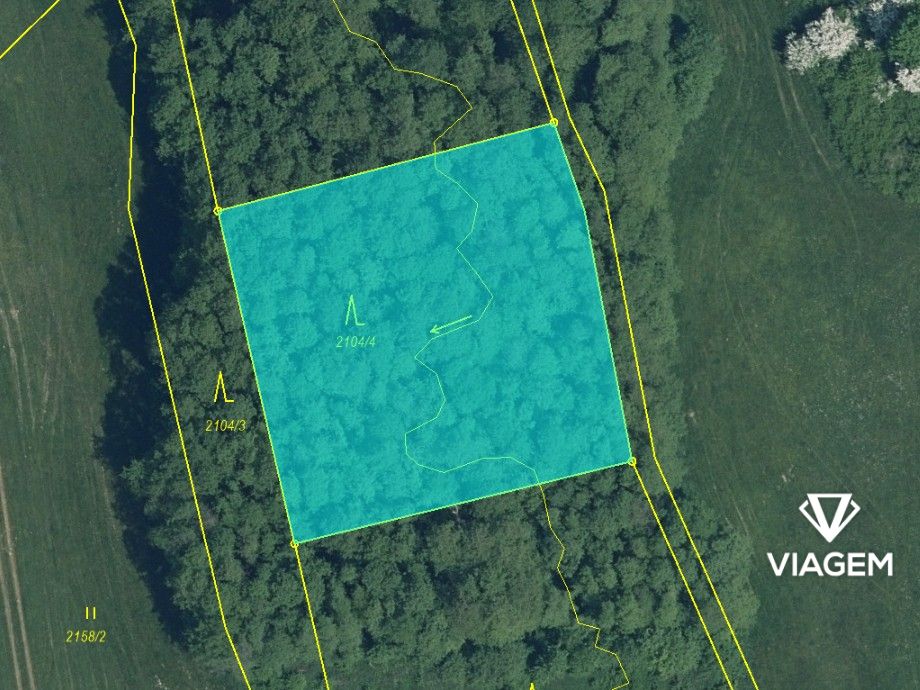 Les 5 620 m² - 4