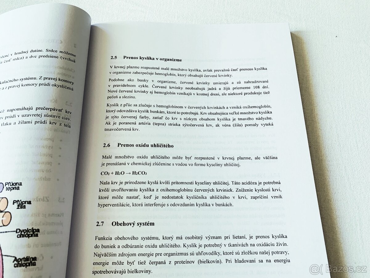 Ľudské faktory v letectve - Ľudská výkonnosť a obmedzenia - 4