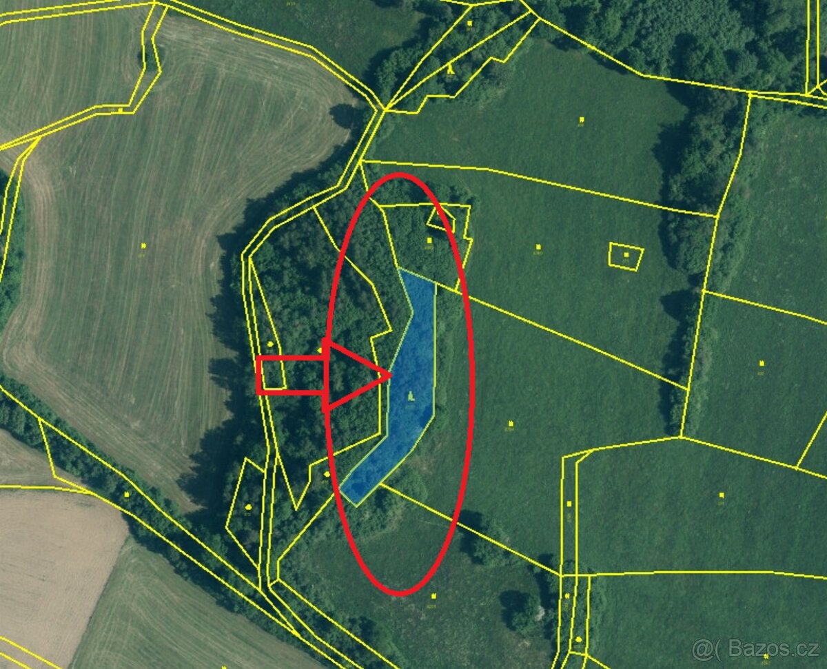 Prodej lesního pozemku v k.ú. Kolinec - 4