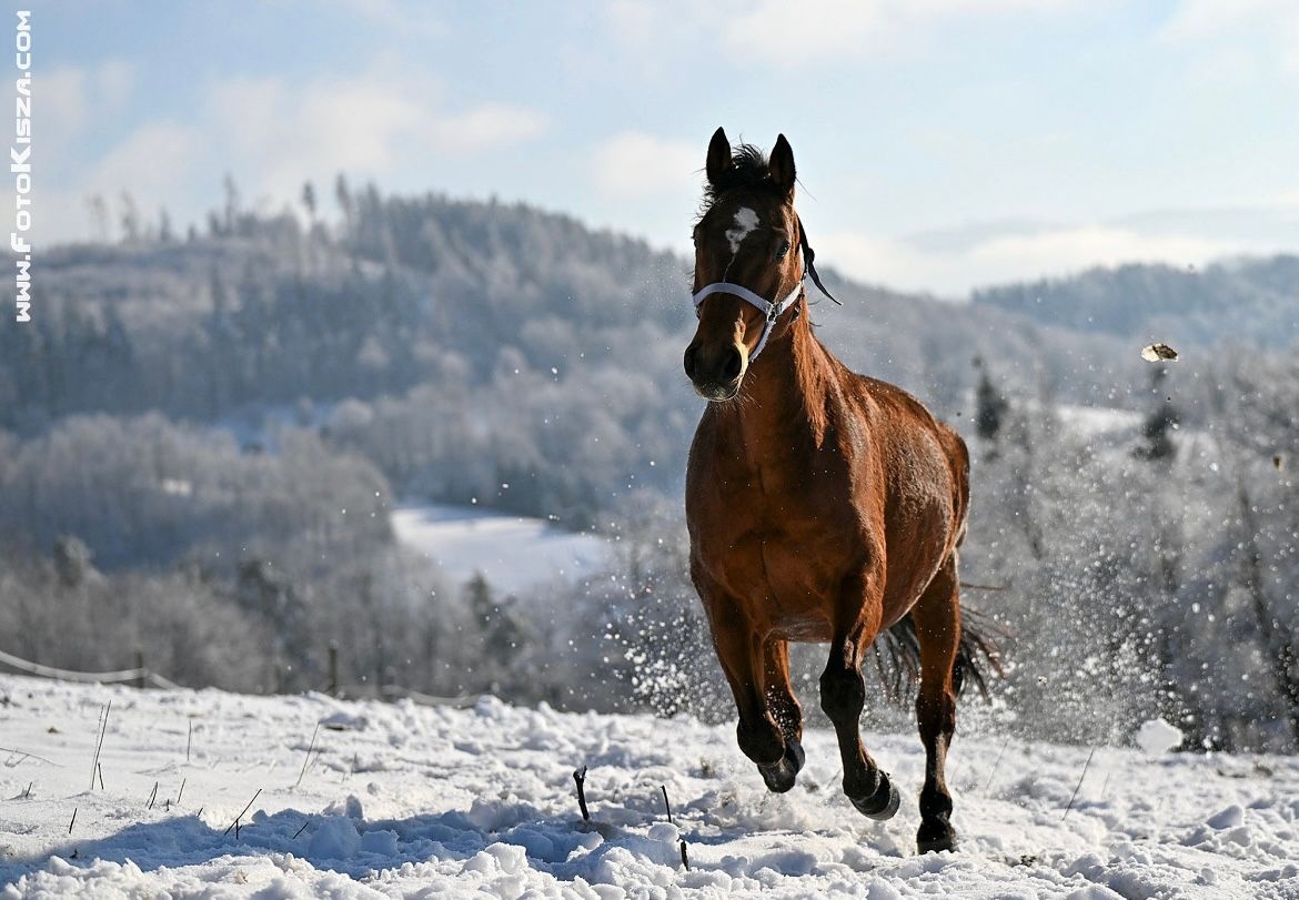 VALACH PARŤÁK PRO ŽIVOT A REKREACI - 4