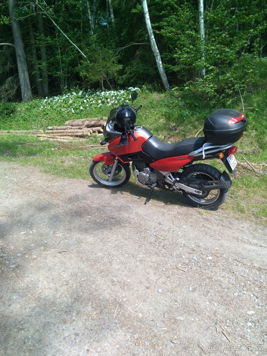 Suzuki XF650 freewind