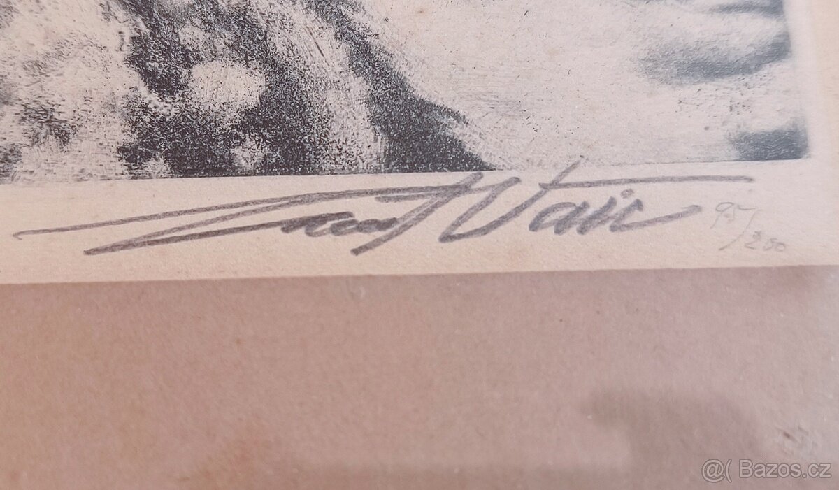 Josef Vaic - Krkonoše (Benecko) - 4