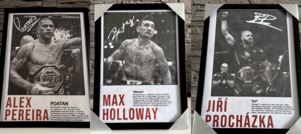 Jiří Procházka - Obraz s rámem v ceně - 4