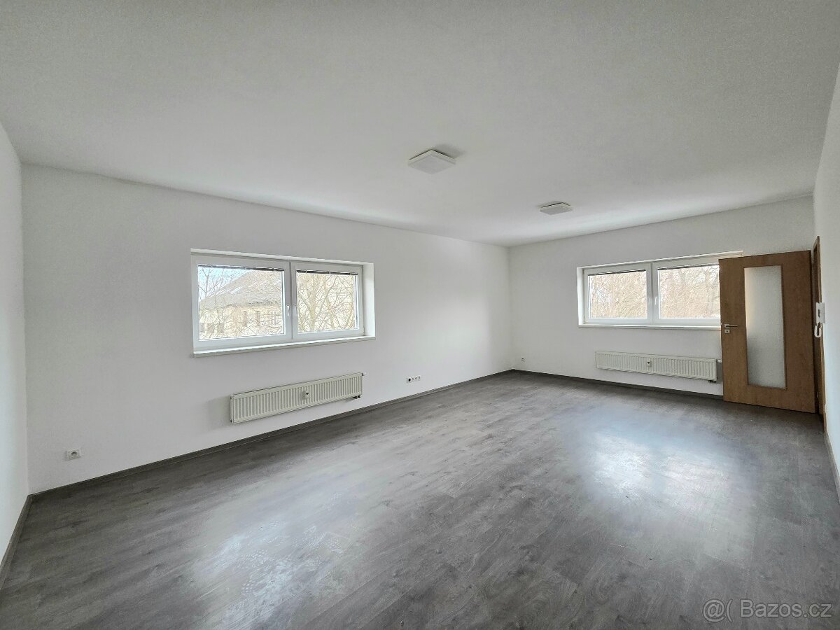 Pronájem bytu 2+1/L, Svémyslice - 4