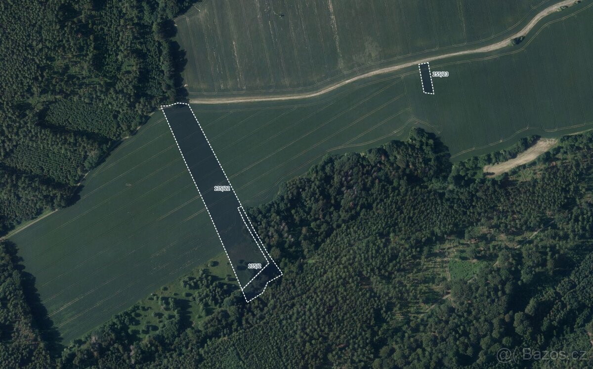 Zemědělská půda, prodej, Pateřín, Bílá Lhota, Olomouc - 4