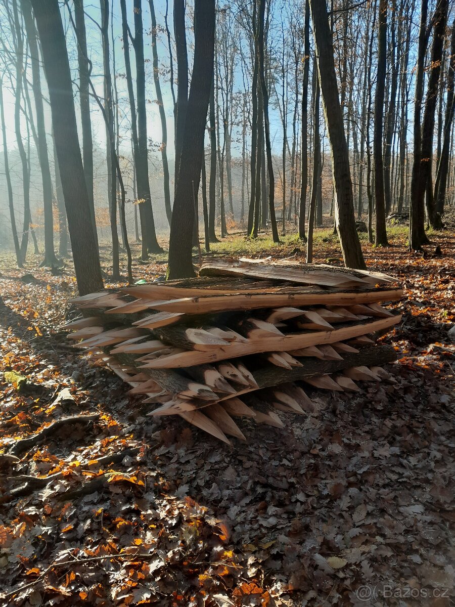 Lesnické práce - 4