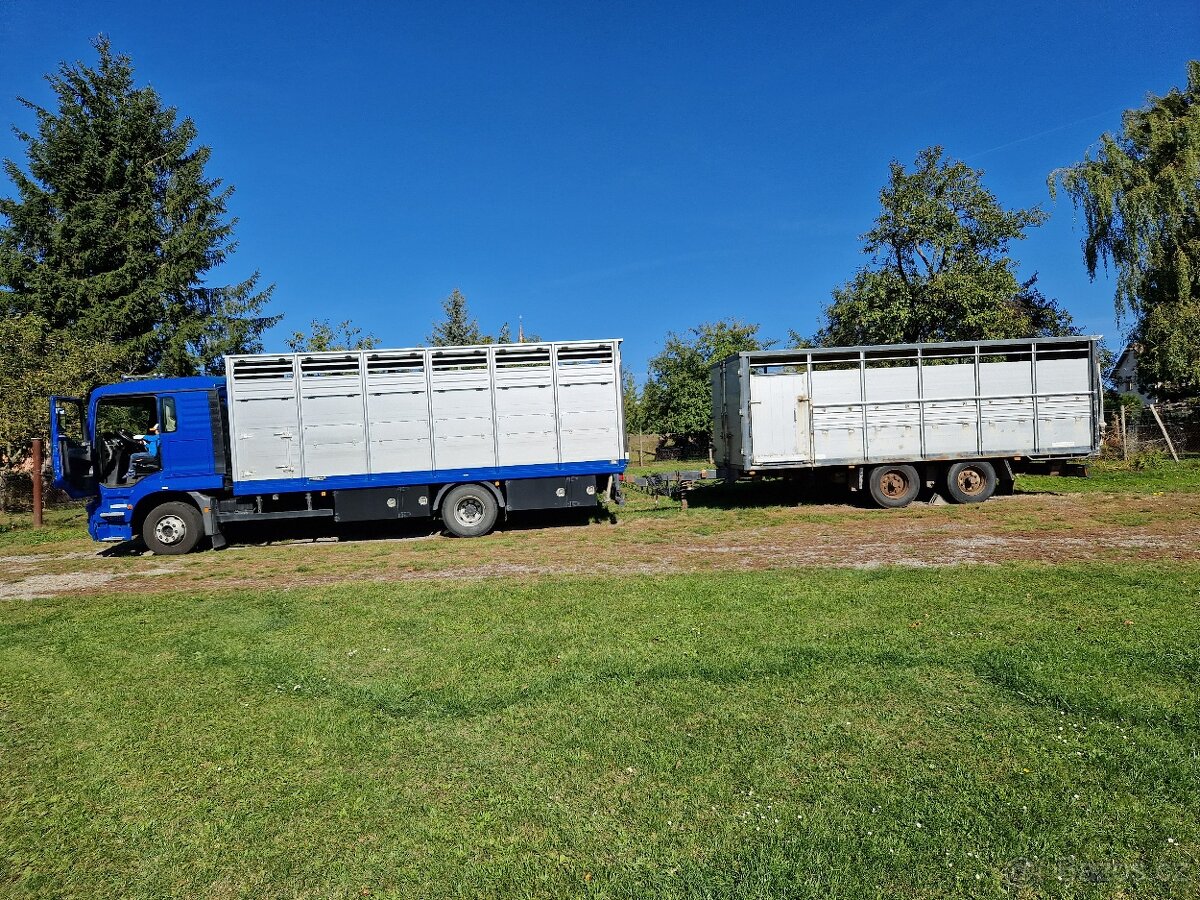 Přeprava zvířat - 4