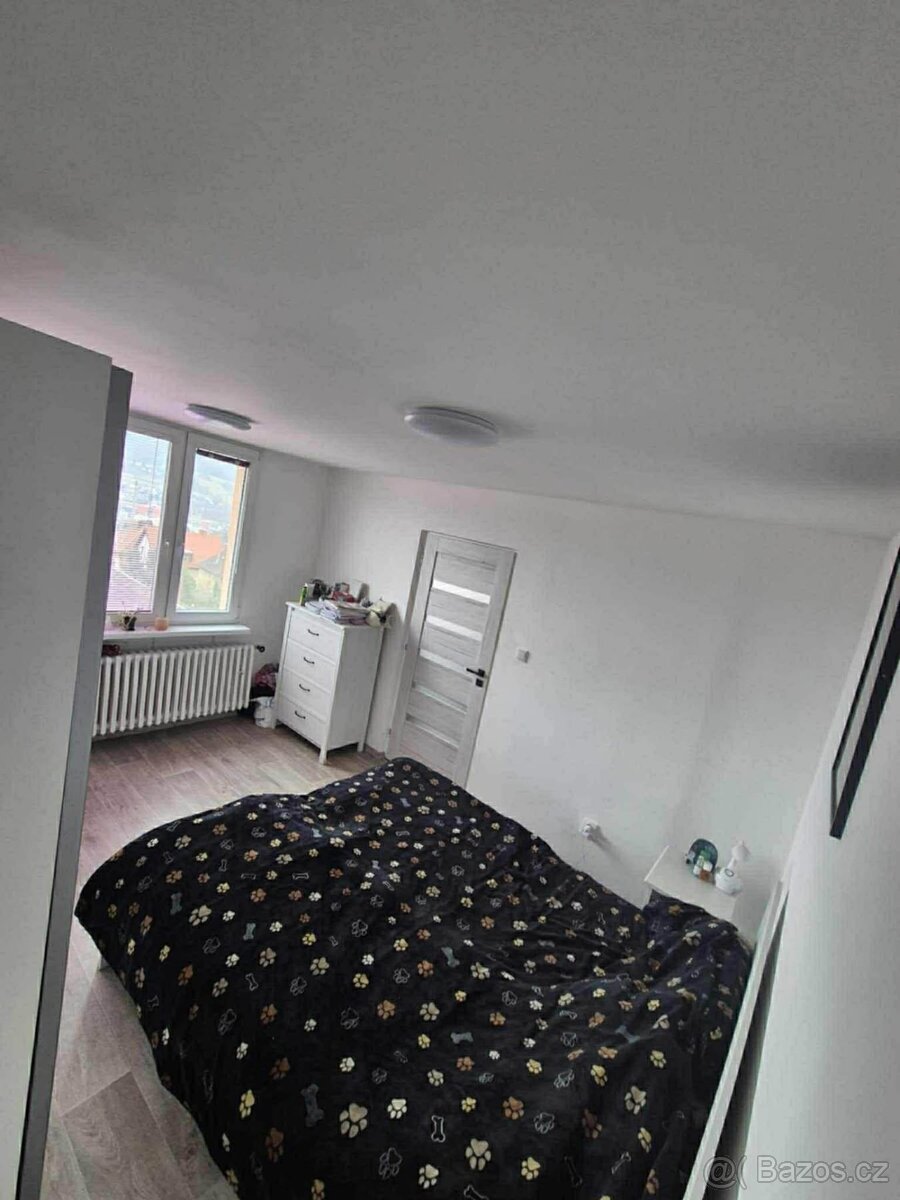 Děčín - Letná úl.Lovosická 3+1 - 4