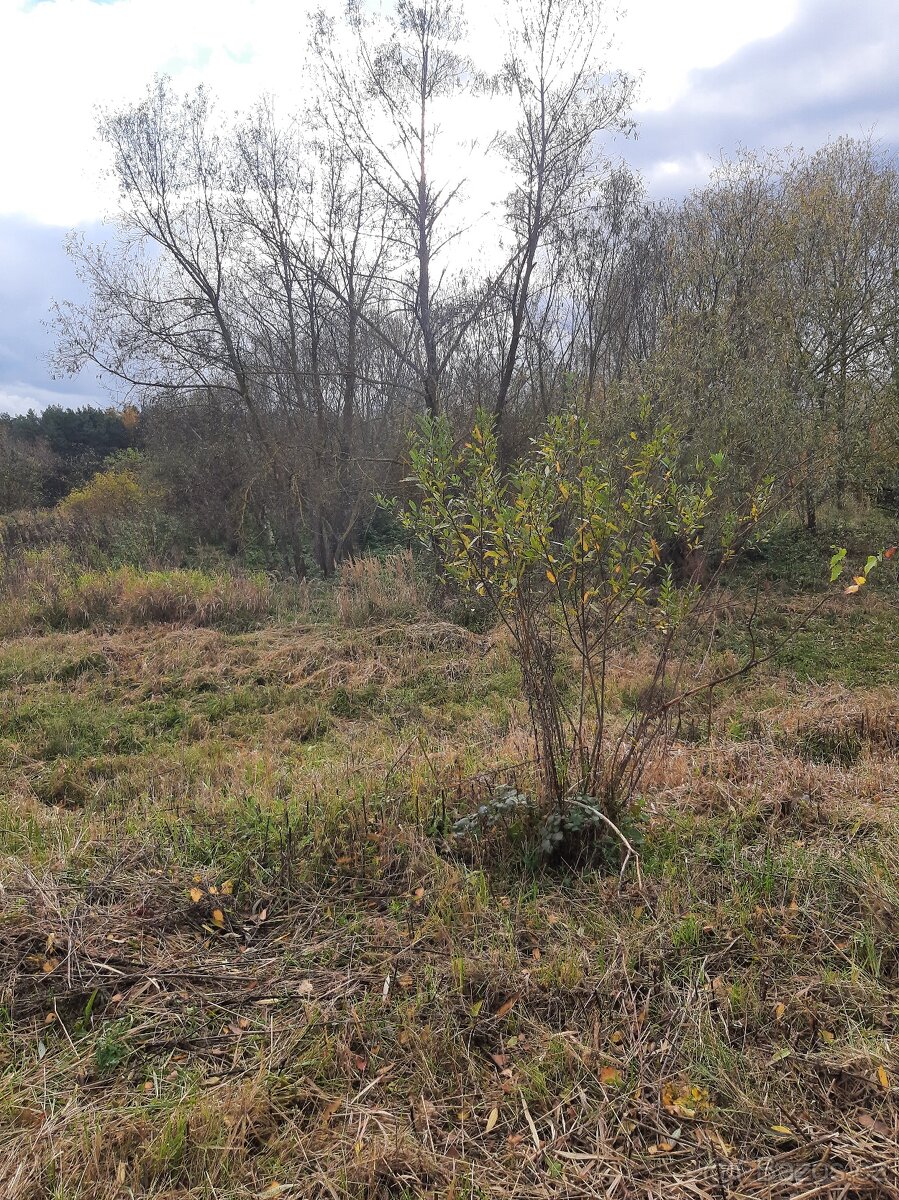 Pozemek na samotě - 4