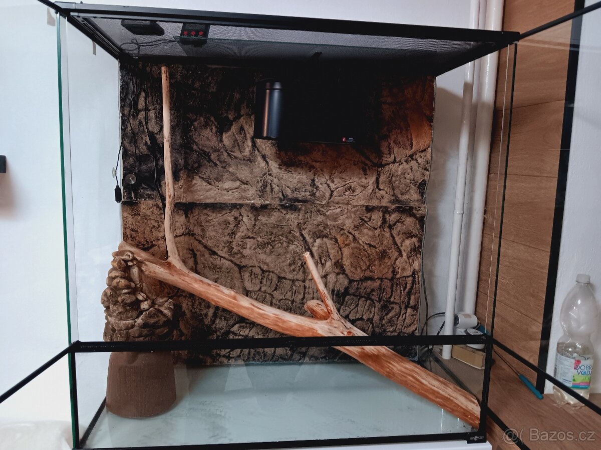 Terárium Repti Planet - 4