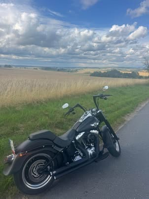 Harley davidson - 4