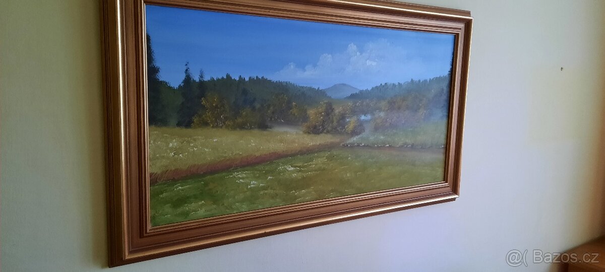 Obrazy , malíř p.Kalma ČB - 4