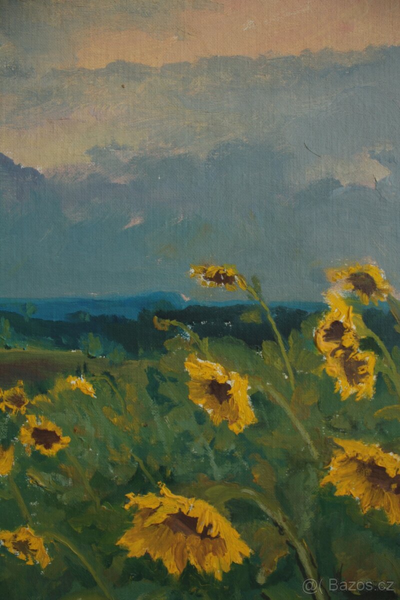 R.Procházka - Slunečnicové pole 73 - 4