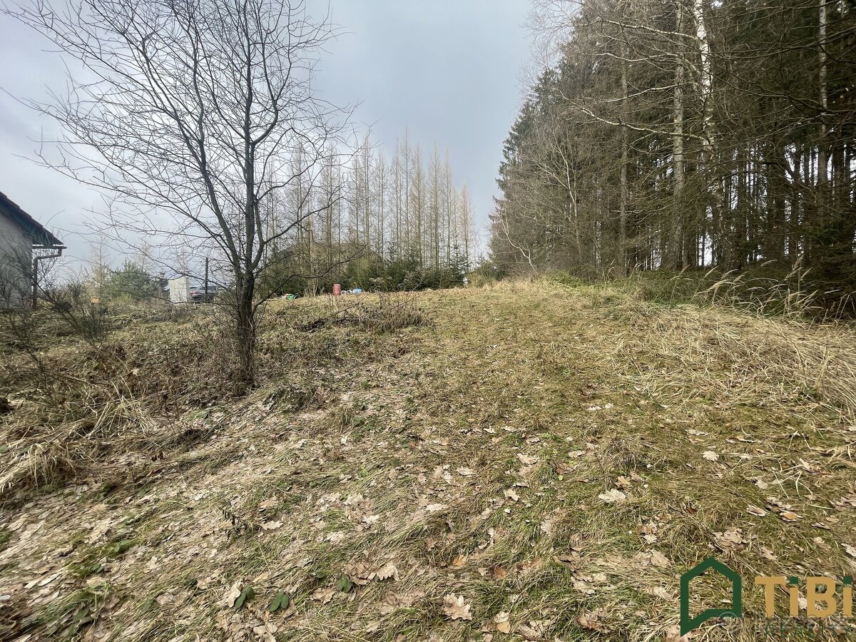 Prodej, Pozemky pro bydlení, 1.753 m² - Gruna - Žipotín - 4