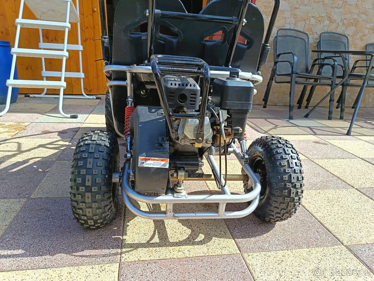Buggy shark
