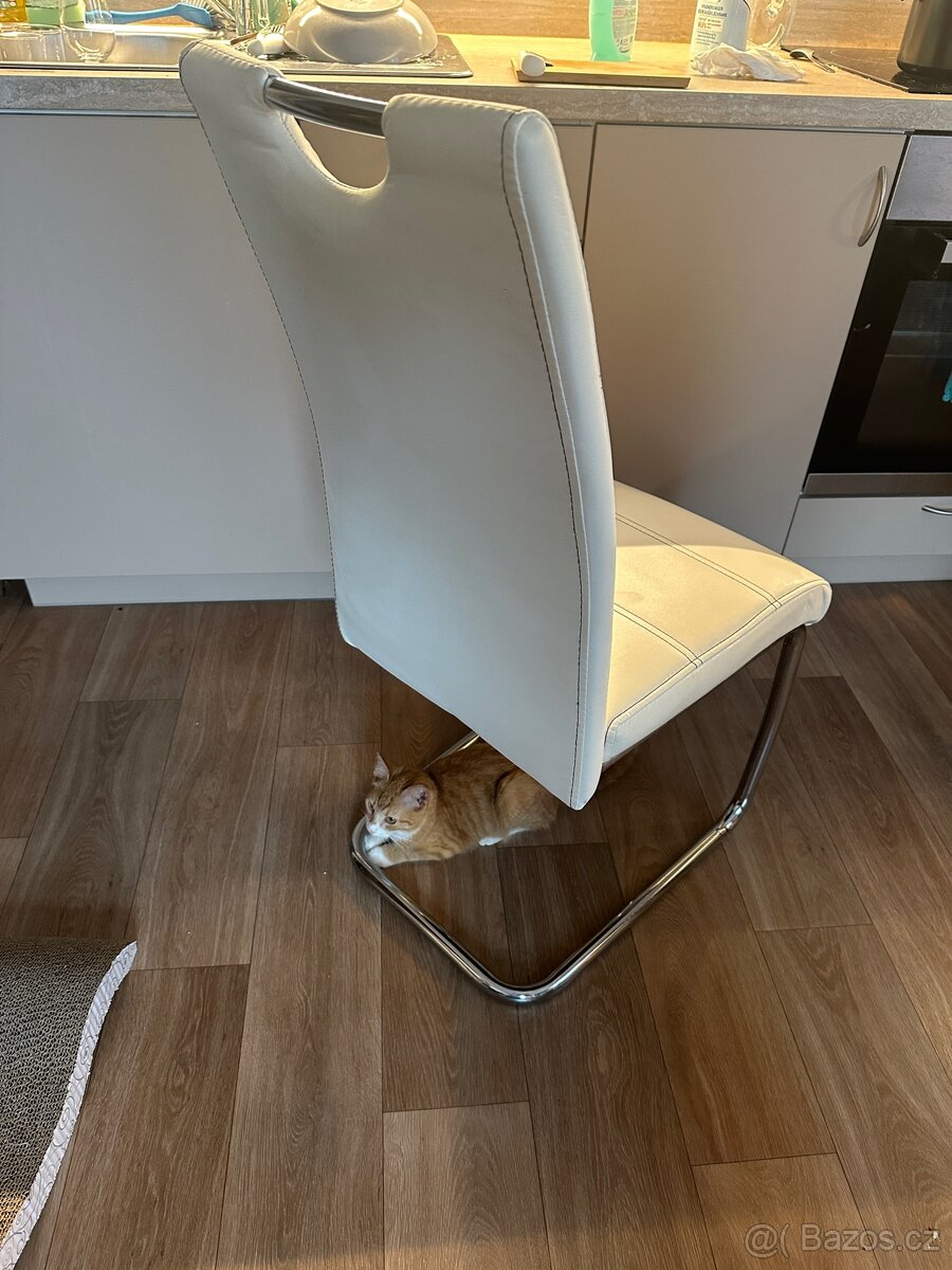 Jídelní židle - 4