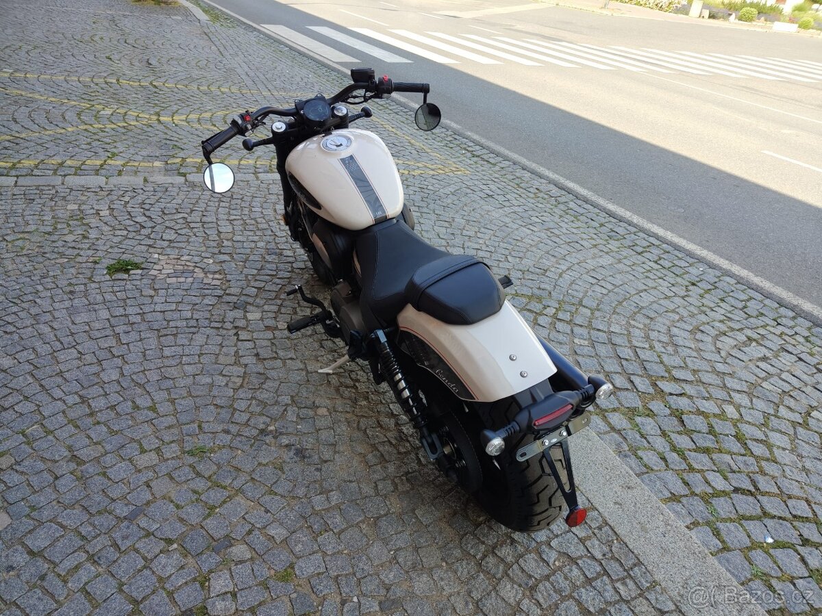 BENDA Chinchilla 500 V2 - 4