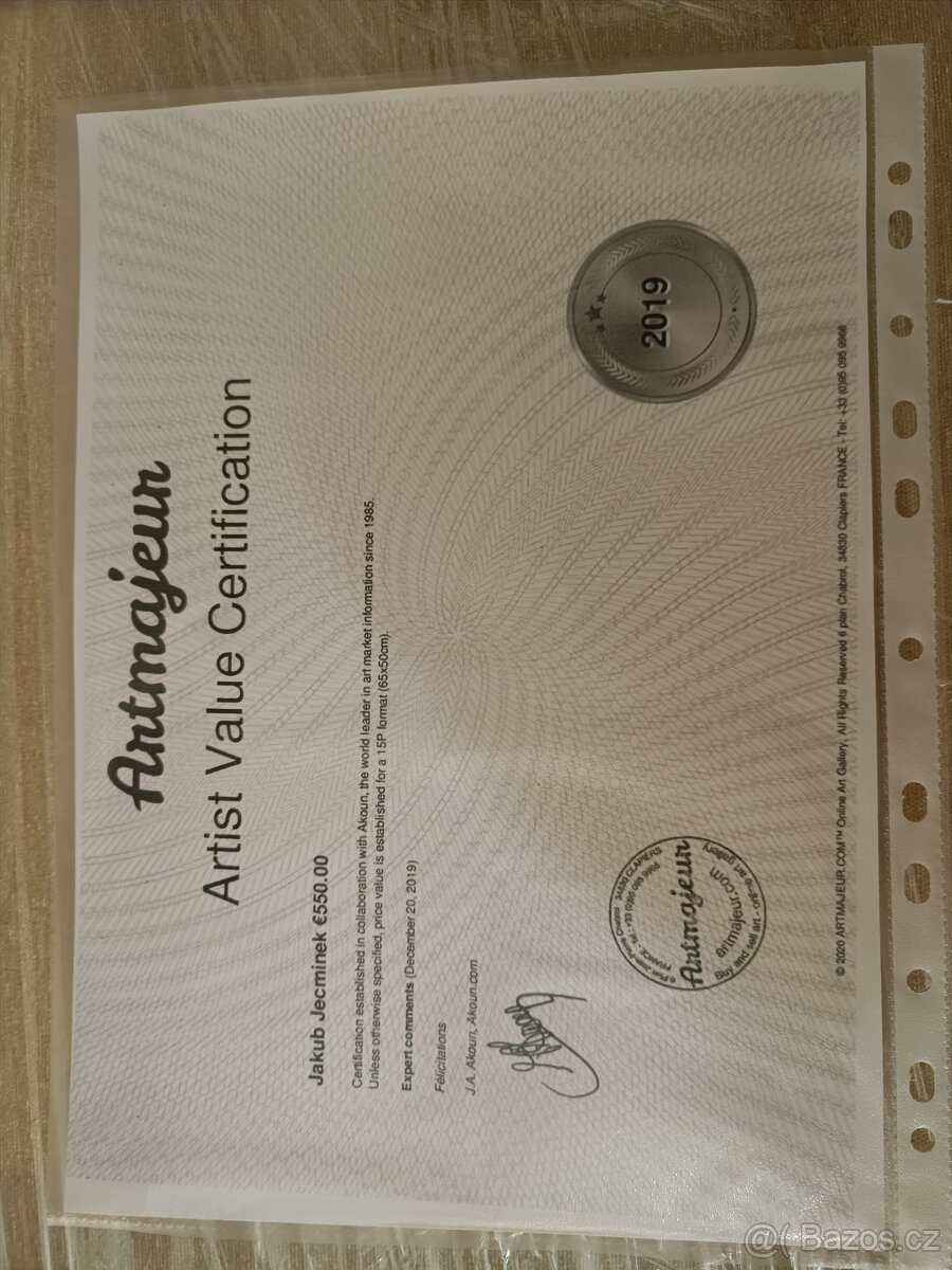 XL Obraz KOSMICKÁ SYMFONIE - Ječmínek - 4