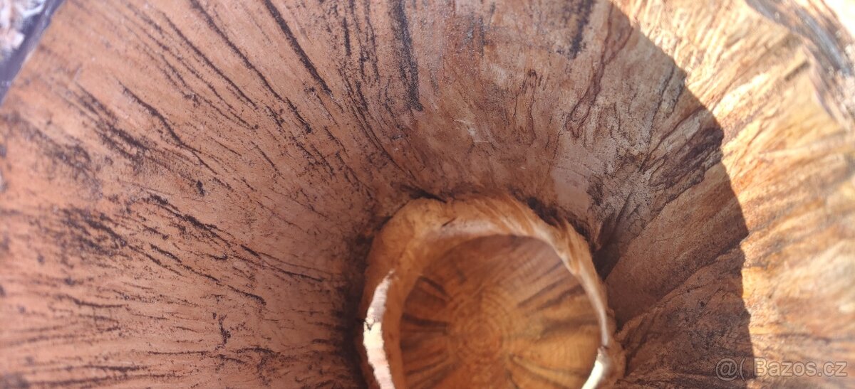 kmenová budka - 4
