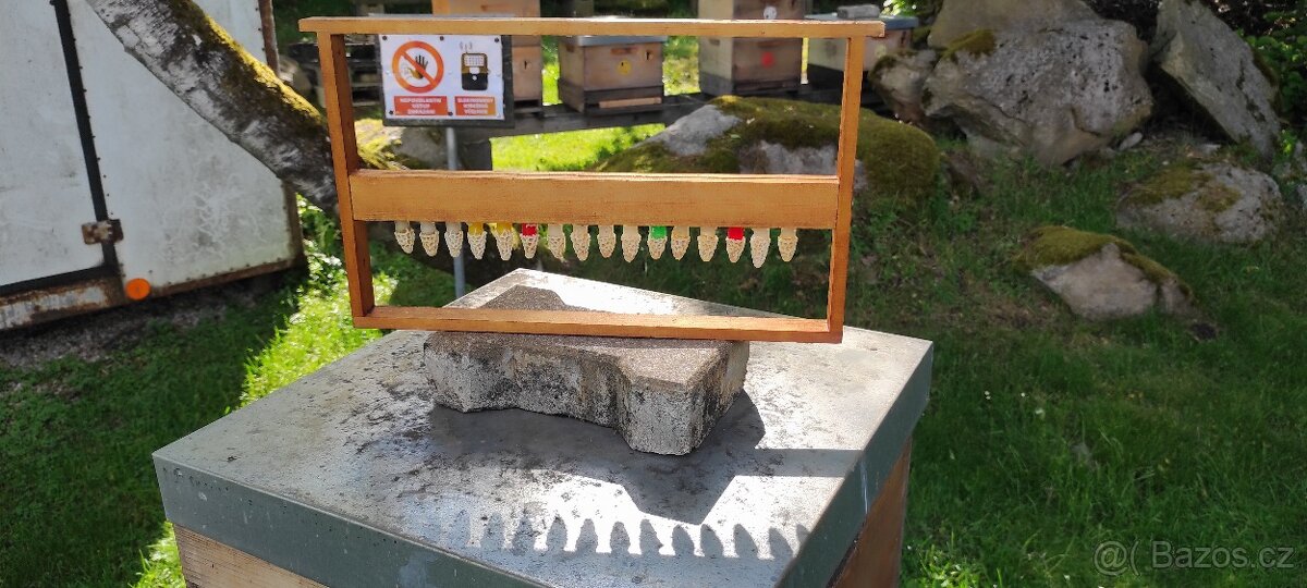 včelí med,med,květový,lipový,smíšený,lesní,tmavý,včelstva - 4