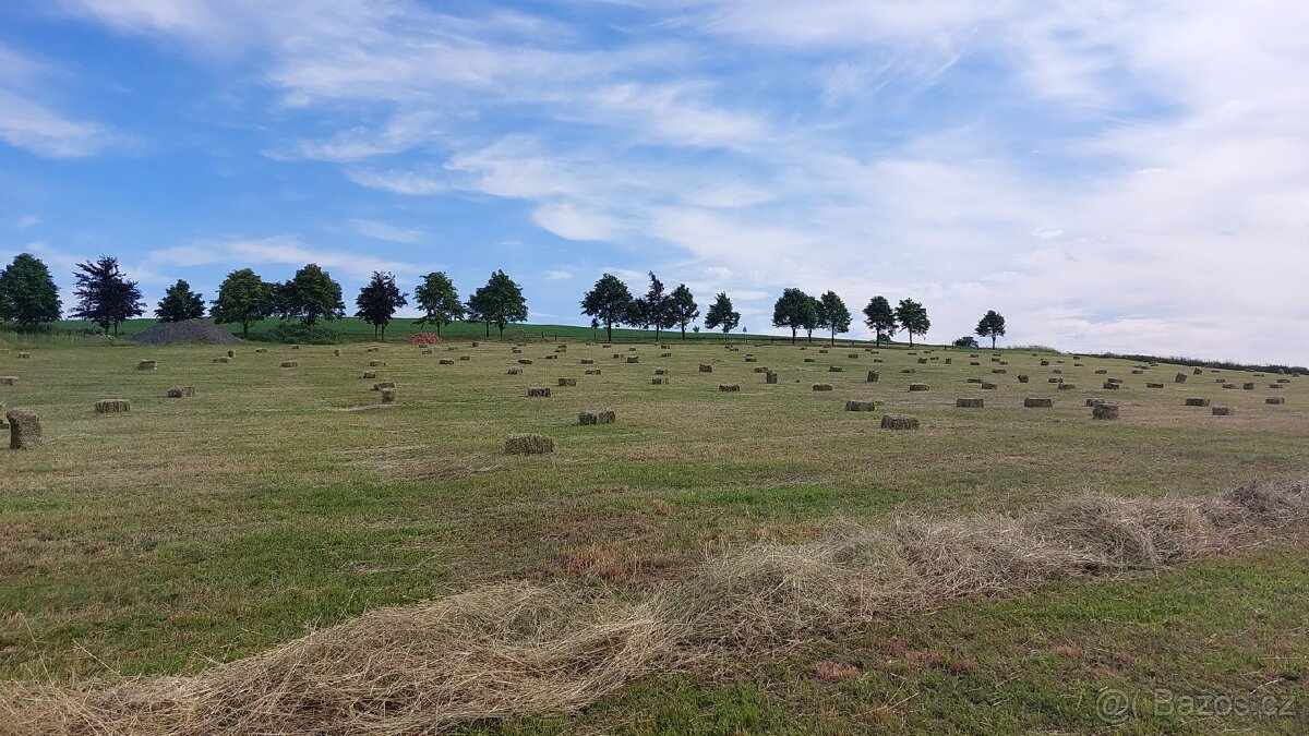 Seno malé balíky - 4