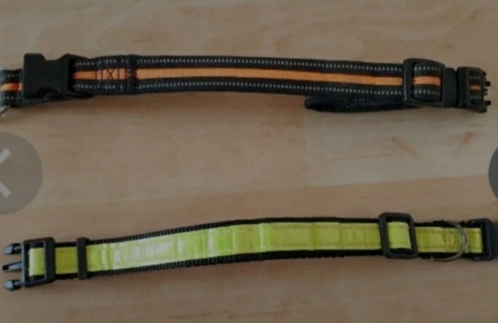 Vybaveni pro psa - velikost ,,S" - vodítko, postroj, obojky - 4