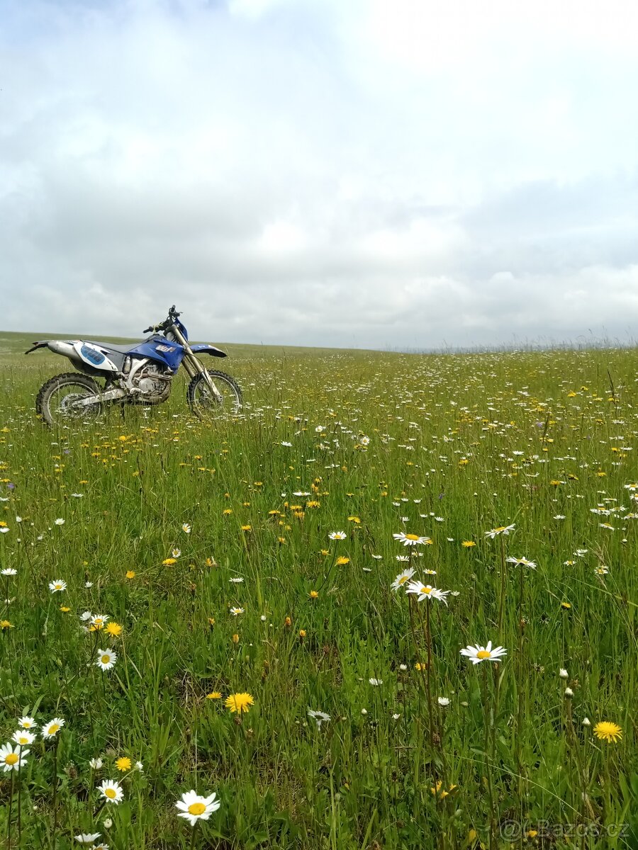 Wr 450 2008