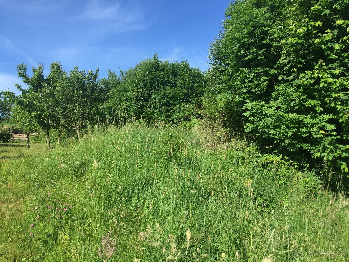 K prodeji pozemek 505 m2 v obci Bukovina u Čisté. - 4