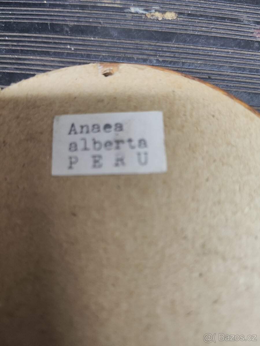 Prodám zarámovaného motýla - 4