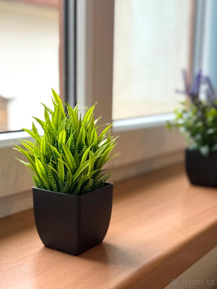 Pronájem části domu – bývalý hostinec, Česká Olešná - 4