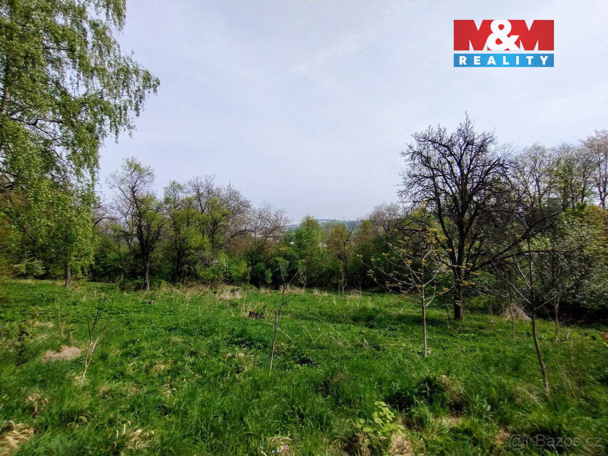 Prodej pozemek 2730 m2, Jeseník nad Odrou, Hůrka - 4