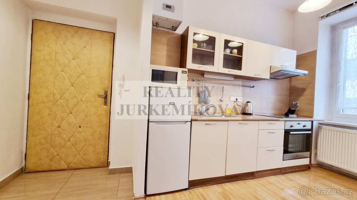 Útulný byt 1+1 po rekonstrukci v Riegrově ulici - 4