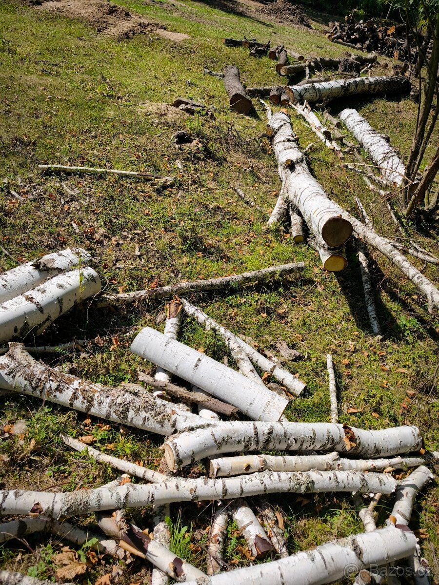 Prodám Tvrdé listnaté dřevo - 4
