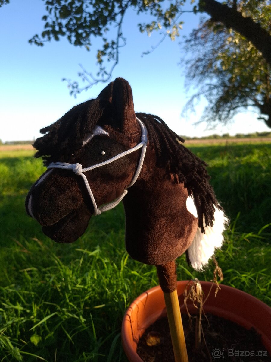 Hobby horse - 4