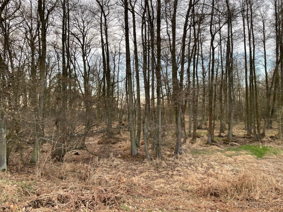 Prodám pozemky na k.ú. Černá u Bohdanče - 4