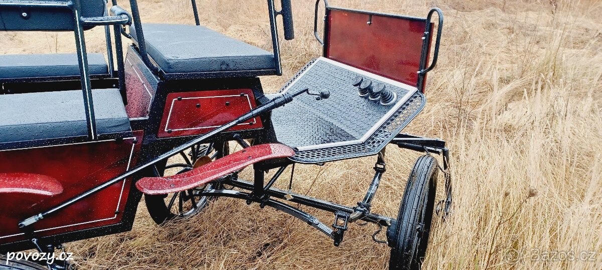 Bryčka, kočár, vagoneta, maraton, koňský povoz - 4