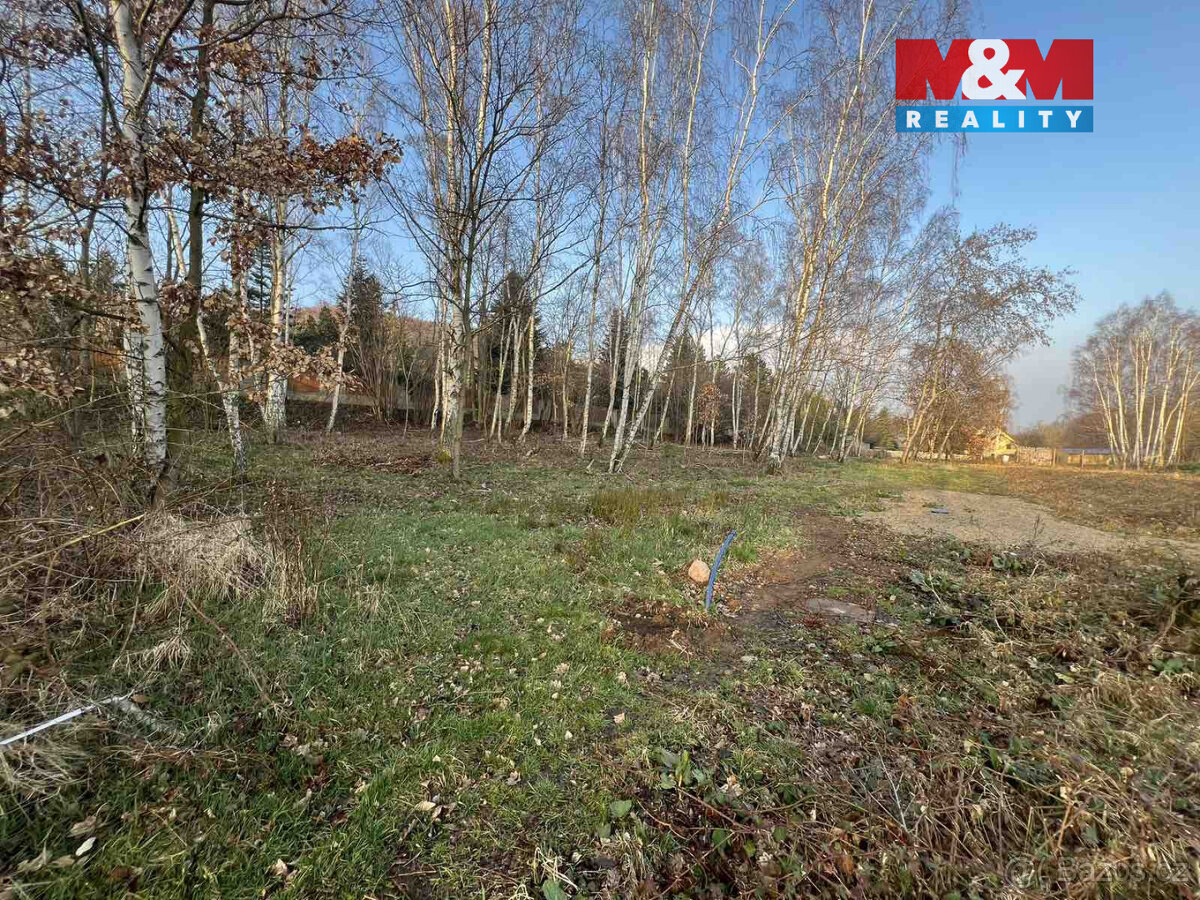 Prodej pozemku k bydlení, 6184 m², Dubí - 4