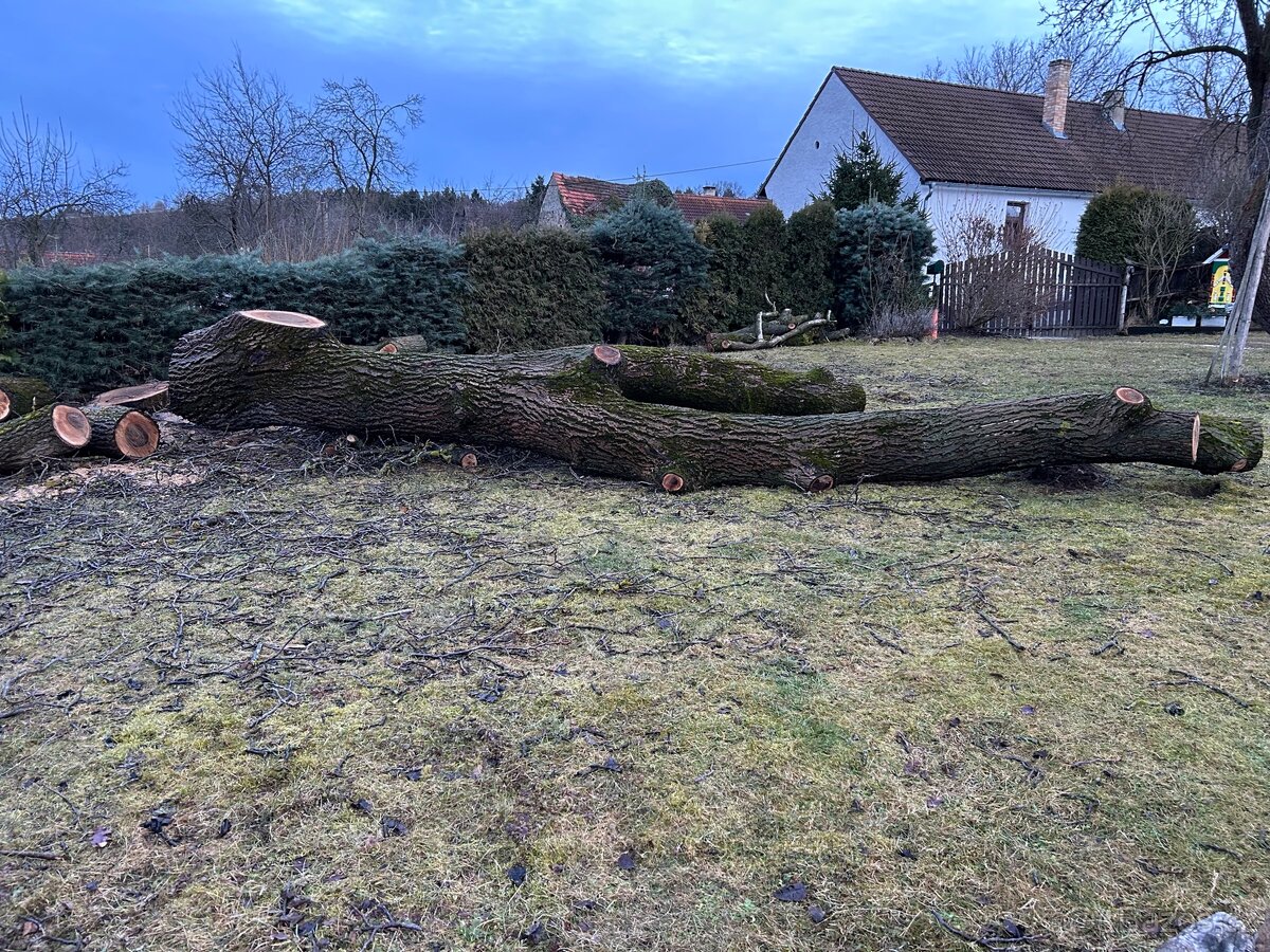 Ořechové dřevo - 4