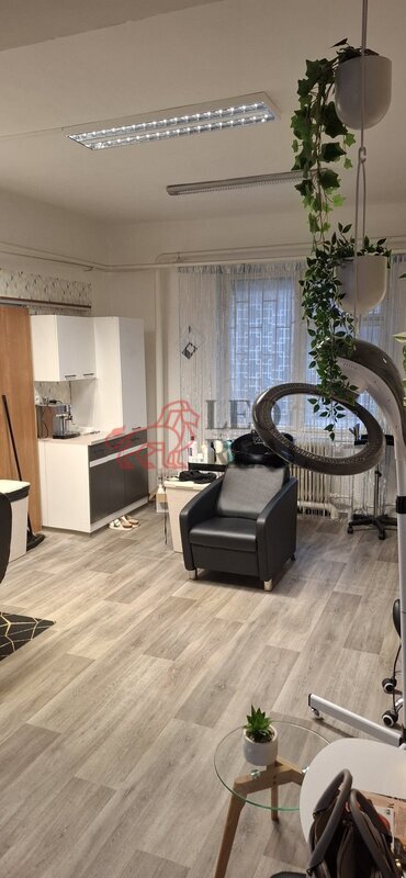 Pronájem obchodních prostor v centru Třince - 4