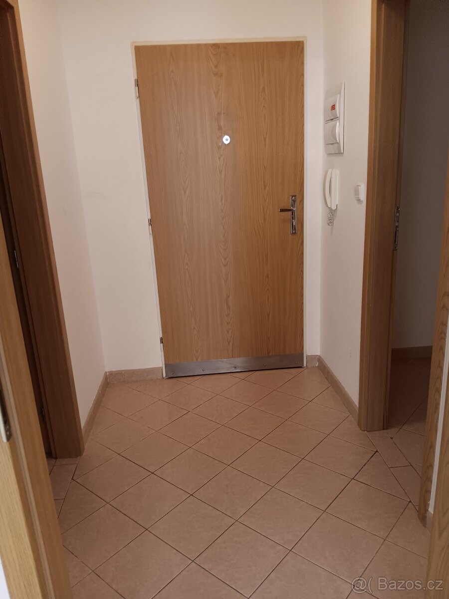 pronájem bytu 1+kk - 4