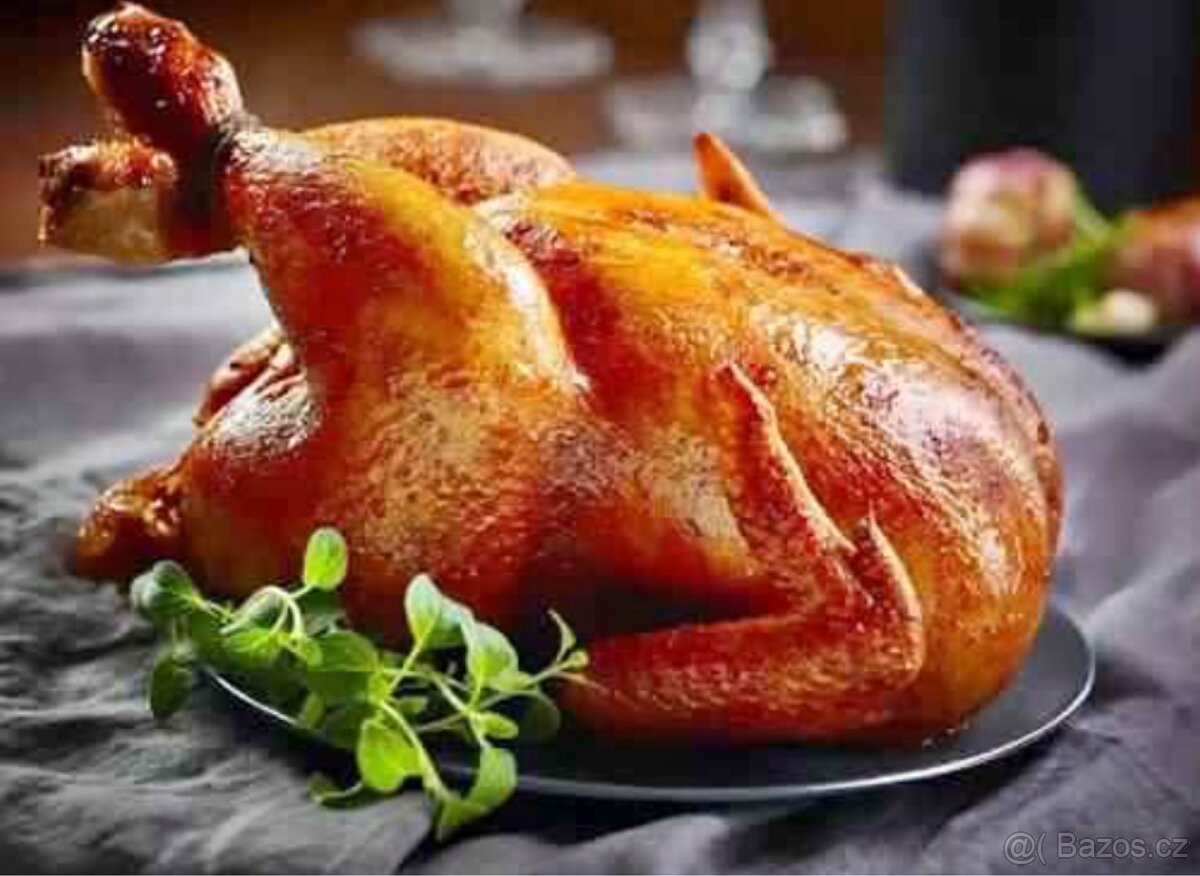 Domácí kuřata - 4