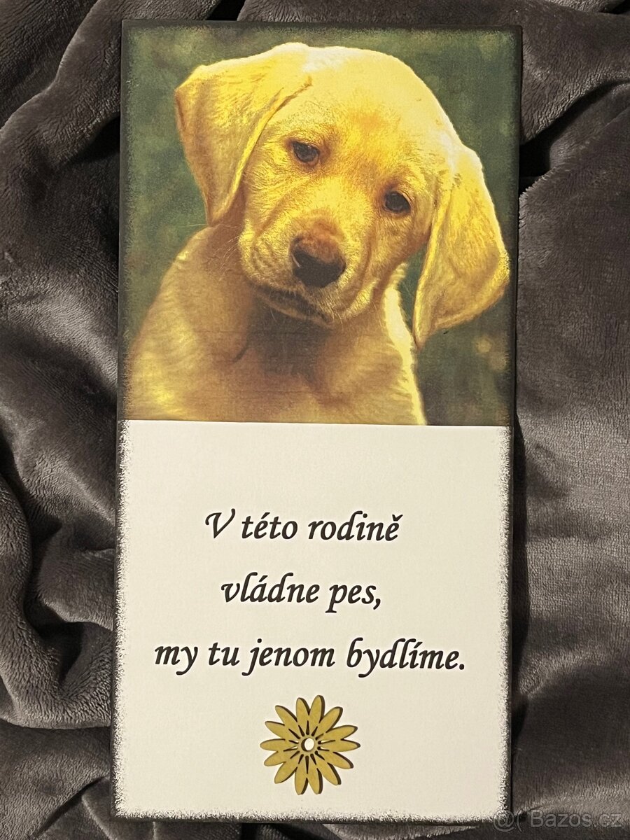 Cedulka (č.6) - 4