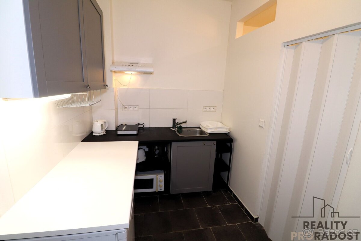 Prostorný byt 1+1 ( 30m² ) po rekonstrukci k pronájmu, Brno- - 4