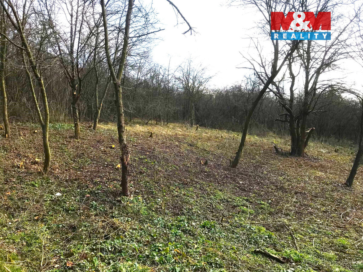 Prodej zahrady, 1582 m², Postoloprty - 4