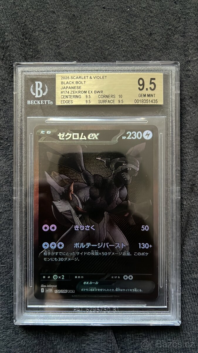 Pokemon BWR Reshiram & Zekrom - 4