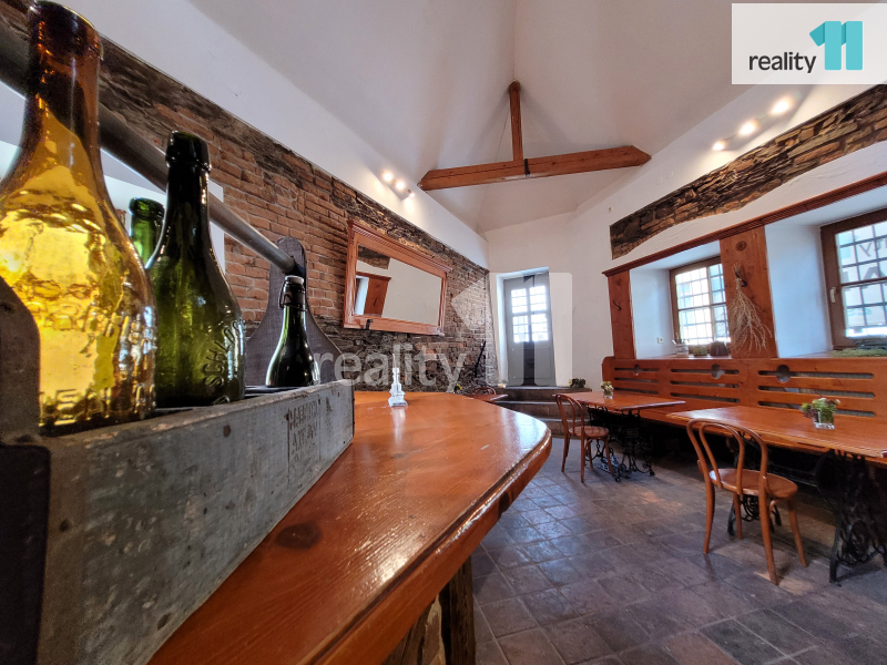 Pronájem, komerční prostory, 100 m², Kolín, ul. Havelcova - 4